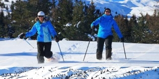 En medio de la nieve polvo 